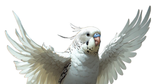 Avery Budgies