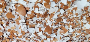 Crushed eggshells - Averybudgies.co.uk