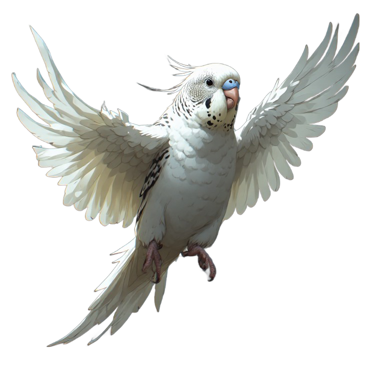 Aviary Budgies